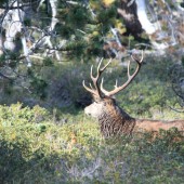 Crédit : arenysam/AdobeStock