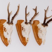 Crédit : sebi_2569/AdobeStock