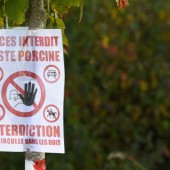 Crédit : Jean-Luc Flémal - BE/AdobeStock