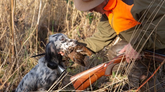Plusieurs catégories sont prévues pour la finale départementale 2025. Crédit : D.Gest./FNC