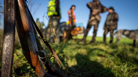 Crédit : 1tomm/AdobeStock