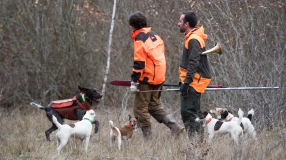 Un rappel des précautions essentielles s'impose pour tous les propriétaires de chiens de chasse. Crédit : FNC