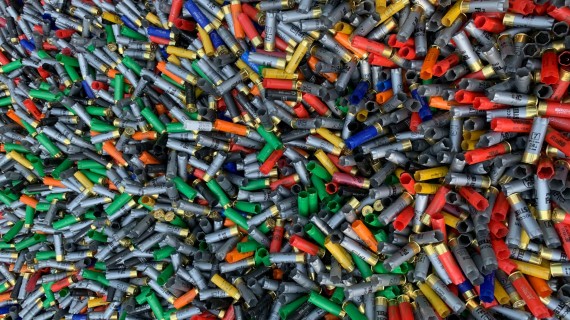 Crédit : Joakim Orrhult/Unsplash