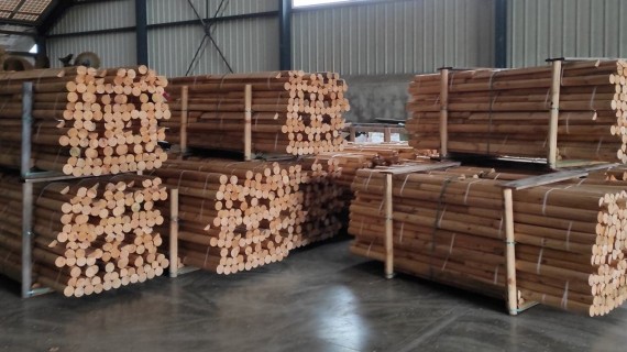 Équipez-vous de miradors de battue. Crédit : FDC 57