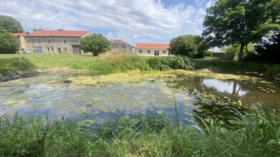 Les techniciens fédéraux réalisent des visites techniques en vue de la restauration ou création de mares. Crédit : FDC 55