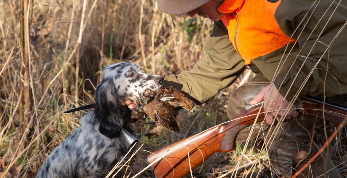 Plusieurs catégories sont prévues pour la finale départementale 2025. Crédit : D.Gest./FNC