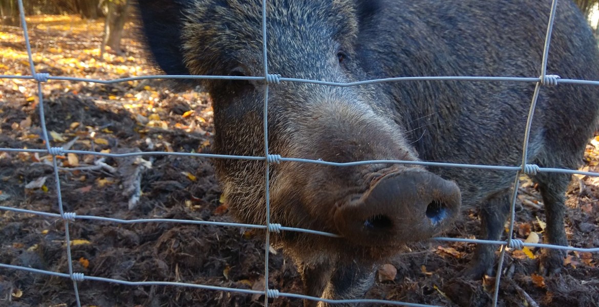 Le versement de la subvention est soumis à une obligation de résultat. Crédit : VISUAL BACKGROUND/AdobeStock