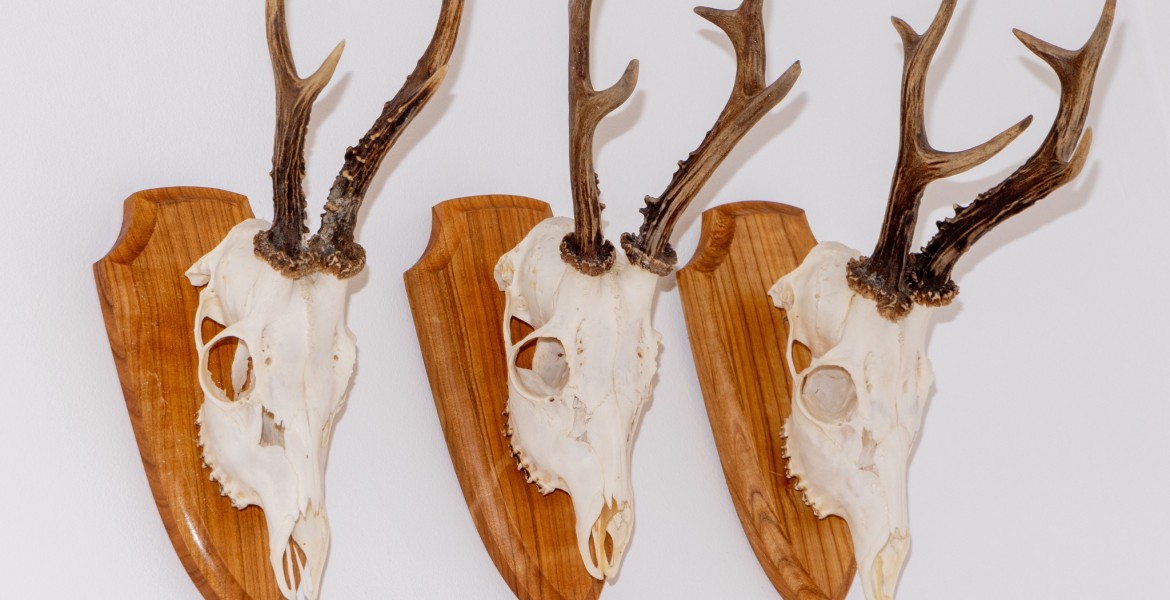 Crédit : sebi_2569/AdobeStock