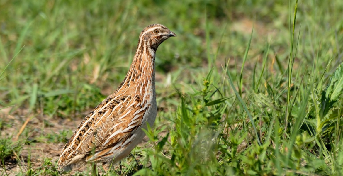 Retournez vos carnets de prélèvements à la Fédération. Crédit : Victor Tyakht/AdobeStock