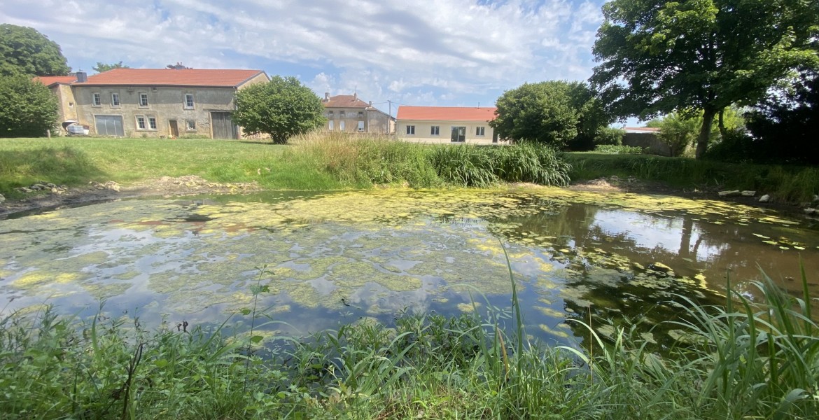 Les techniciens fédéraux réalisent des visites techniques en vue de la restauration ou création de mares. Crédit : FDC 55