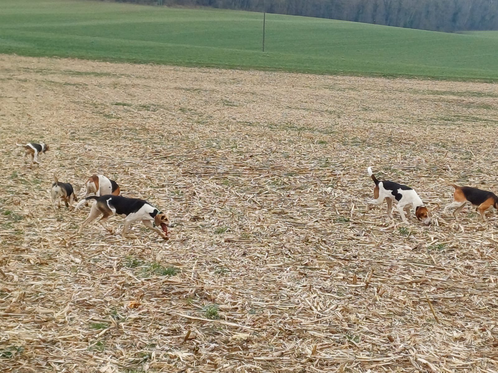 Crédit : Jonathan Lenice